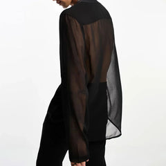 Hearujoy Mens Autumn Perspective Mesh V-Neck Long Sleeve Mesh T-Shirt Genderless Elastic Sexy Fashion Slim Fit Breathable Top Unisex