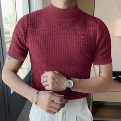 Hearujoy Summer Clothing Men's Luxury Slim Short Sleeve T-shirt Casual Streetwear High-neck Solid Color Basic Shirt Breathable 2024 New